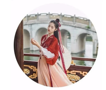 Chinese Hanfu Girl Han Element Ancient Style Ming and Tang Traditional Costume Girl Coat Skirt New Year's Day Performance Dress