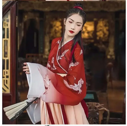 Chinese Hanfu Girl Han Element Ancient Style Ming and Tang Traditional Costume Girl Coat Skirt New Year's Day Performance Dress