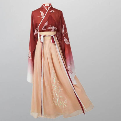 Chinese Hanfu Girl Han Element Ancient Style Ming and Tang Traditional Costume Girl Coat Skirt New Year's Day Performance Dress