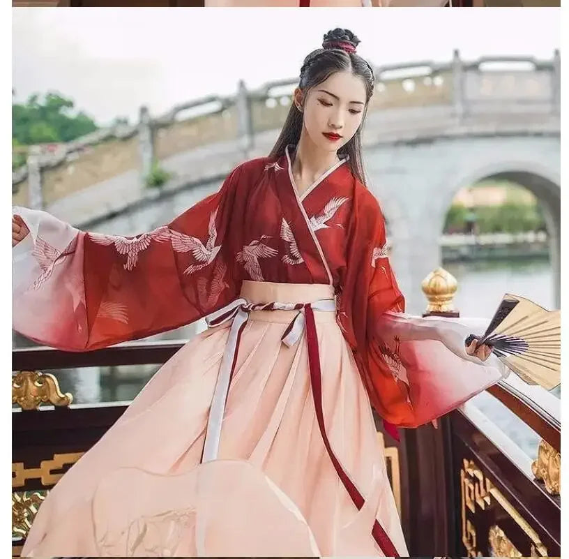 Chinese Hanfu Girl Han Element Ancient Style Ming and Tang Traditional Costume Girl Coat Skirt New Year's Day Performance Dress