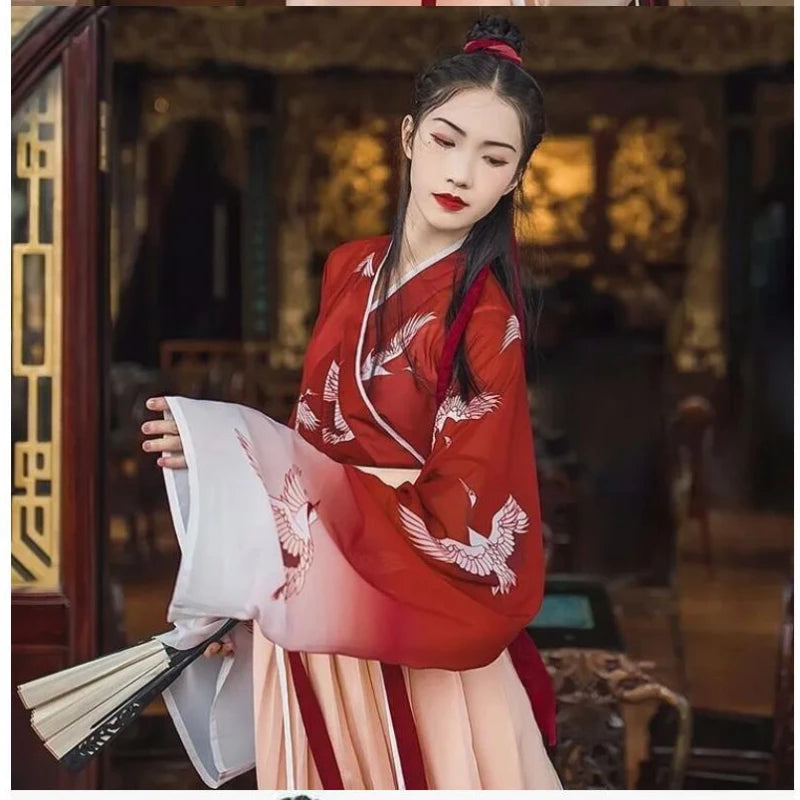 Chinese Hanfu Girl Han Element Ancient Style Ming and Tang Traditional Costume Girl Coat Skirt New Year's Day Performance Dress