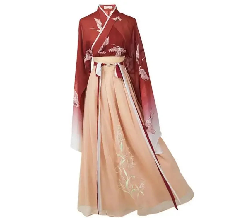 Chinese Hanfu Girl Han Element Ancient Style Ming and Tang Traditional Costume Girl Coat Skirt New Year's Day Performance Dress