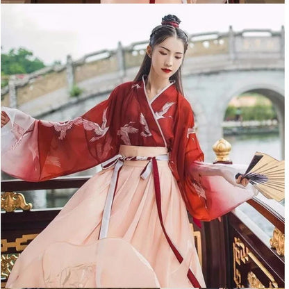 Chinese Hanfu Girl Han Element Ancient Style Ming and Tang Traditional Costume Girl Coat Skirt New Year's Day Performance Dress