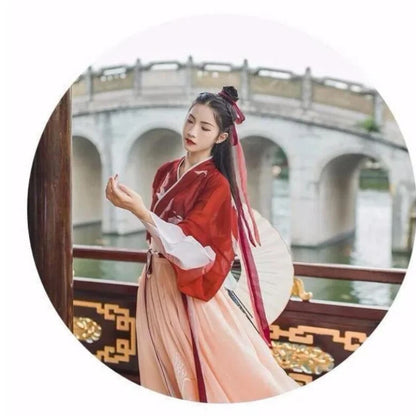 Chinese Hanfu Girl Han Element Ancient Style Ming and Tang Traditional Costume Girl Coat Skirt New Year's Day Performance Dress